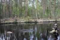 Bifogad bild: fishon.jpg