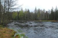 Bifogad bild: gfors.jpg