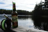 Bifogad bild: DSC01912.JPG