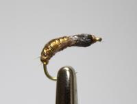 Bifogad bild: Graphic Caddis Tan (wet).jpg