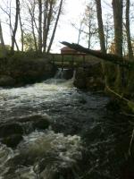 Bifogad bild: 20120506018.jpg