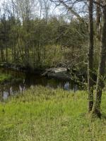 Bifogad bild: 20120508022.jpg