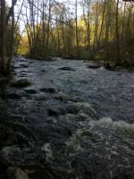 Bifogad bild: 20120506013.jpg
