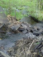 Bifogad bild: 20120519023.jpg