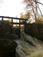 Bifogad bild: 20120506017.jpg