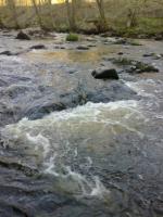 Bifogad bild: 20120506012.jpg