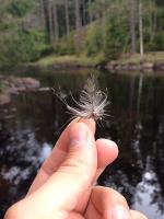 Bifogad bild: sl�nda.jpg