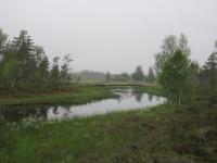 Bifogad bild: borrsj__n1.JPG