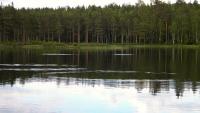 Bifogad bild: DSCN0264.JPG