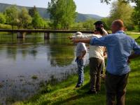 Bifogad bild: fishspotting.jpg