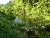 Bifogad bild: CIMG0013.JPG