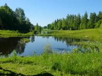 Bifogad bild: CIMG0025.JPG