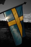 Bifogad bild: flagga2.JPG