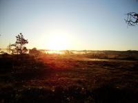 Bifogad bild: morgon.jpg