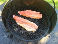 Bifogad bild: IMG_0168.JPG