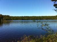 Bifogad bild: IMG_0157.JPG