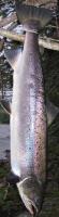 IMG_0063_3.JPG
