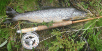 Bifogad bild: _ring.gif