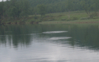 Bifogad bild: vakfest.gif