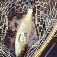 ImageUploadedByTapatalk1341485694.199189.jpg