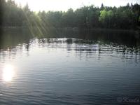 Bifogad bild: Vak.jpg