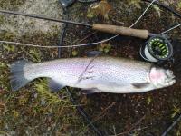 Bifogad bild: 20080708093.jpg
