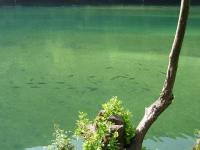 Bifogad bild: Picture_180.jpg