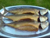 Bifogad bild: DSC00130.JPG