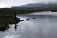 Bifogad bild: 2011 - Arjeplog 6.jpg