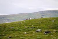 Bifogad bild: 2011 - Arjeplog 4.jpg