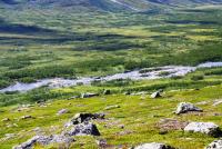 Bifogad bild: 2011 - Arjeplog 18.jpg