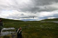 Bifogad bild: 2011 - Arjeplog 3.jpg