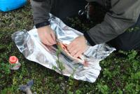 Bifogad bild: 2011 - Arjeplog 10.jpg