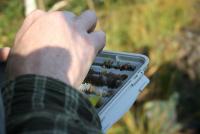 Bifogad bild: Flybox....JPG