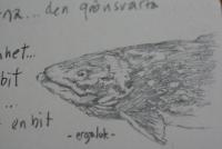 Ergaluk_Diary_II.JPG