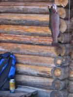 Bifogad bild: IMG_1055.jpg