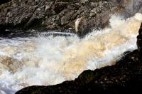 Bifogad bild: IMG_8586_red_small.jpg