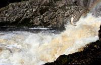 Bifogad bild: IMG_8587_red_small.jpg