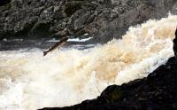 Bifogad bild: IMG_8599_red_small.jpg