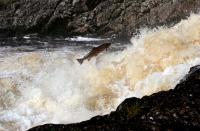 Bifogad bild: IMG_8620_red_small.jpg