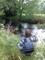 Bifogad bild: 20080828348.jpg
