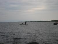 Bifogad bild: IMG_4104.JPG