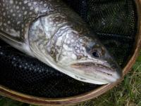 20120630_143321.jpg