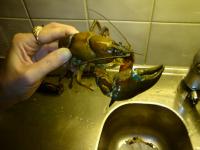 DSC00065.JPG