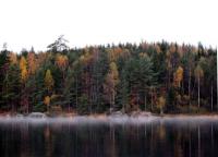Bifogad bild: 081018__020.jpg
