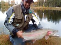 Bifogad bild: gurrafisk.JPG