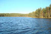 DSC08652_Medium.JPG