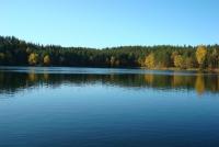 DSC08642_Medium.JPG