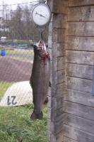 Bifogad bild: IMG_0025.jpg