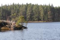 Bifogad bild: DPP_0005.JPG